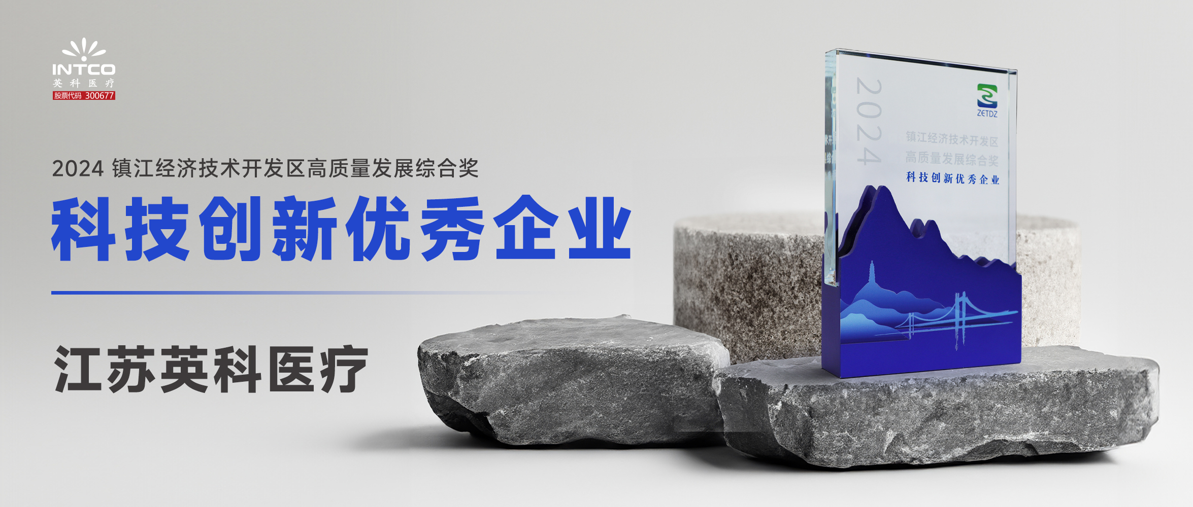 江苏NG28医疗荣膺镇江经济技术开发区“高质量发展综合奖-科技创新优秀企业”