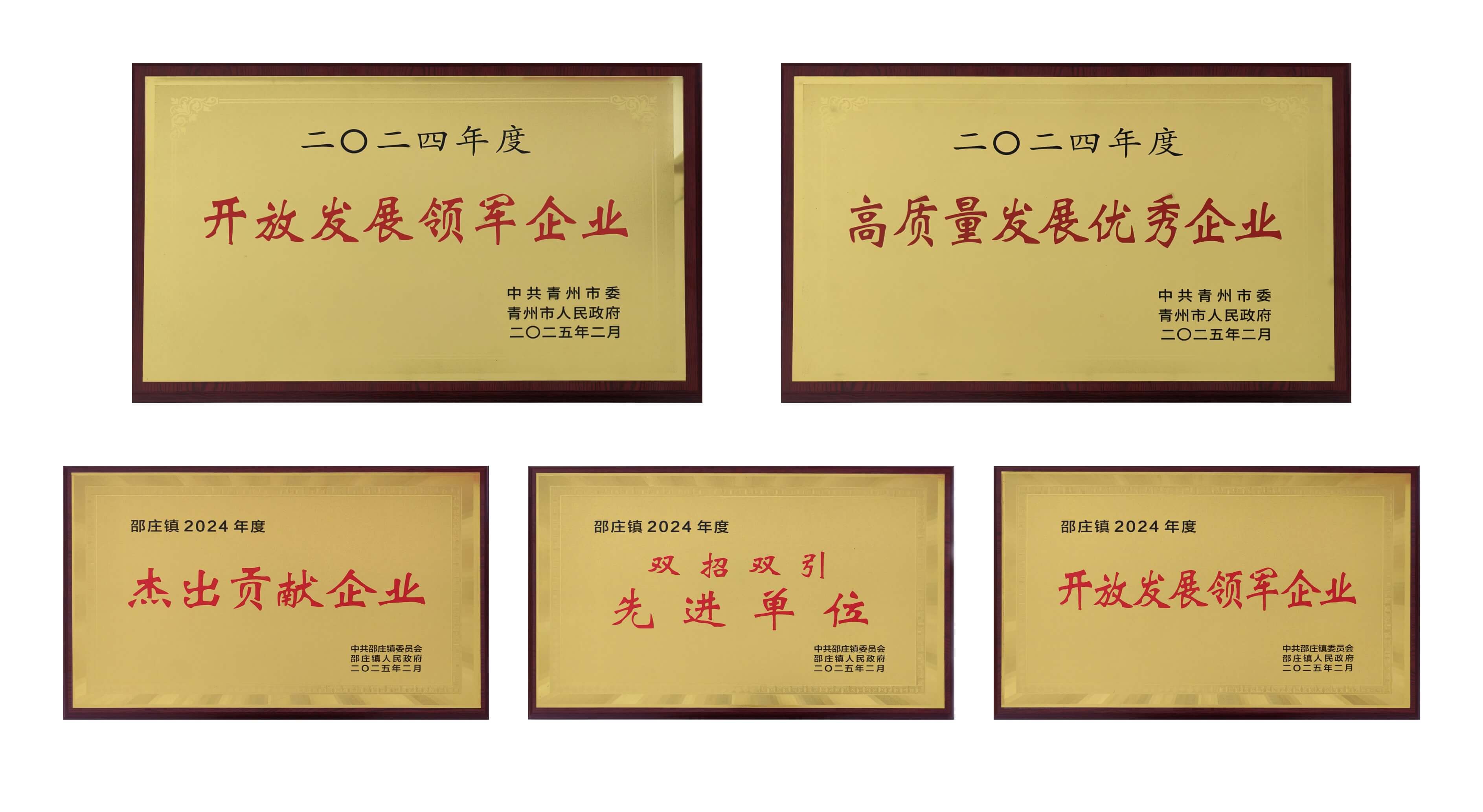 山东NG28医疗荣获多项殊荣